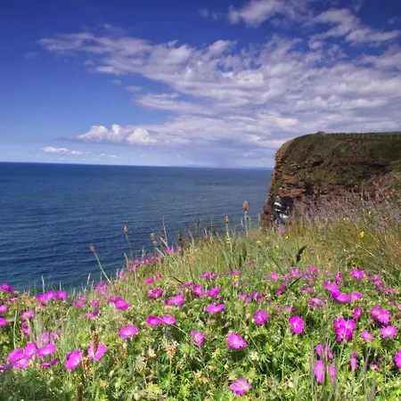 3 Bed In Newton In Cartmel Oc-a29796 Nyaraló *