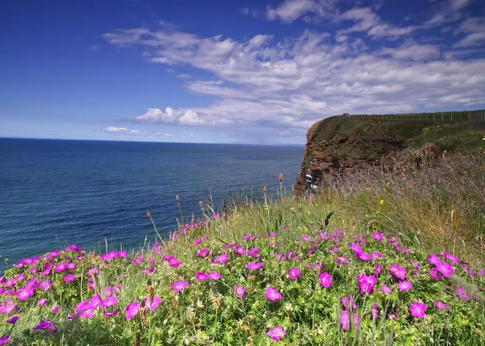 3 Bed In Newton In Cartmel Oc-a29796 Feriehus High Newton